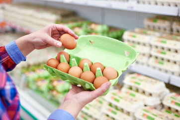 В России могут отменить пошлины на импорт яиц